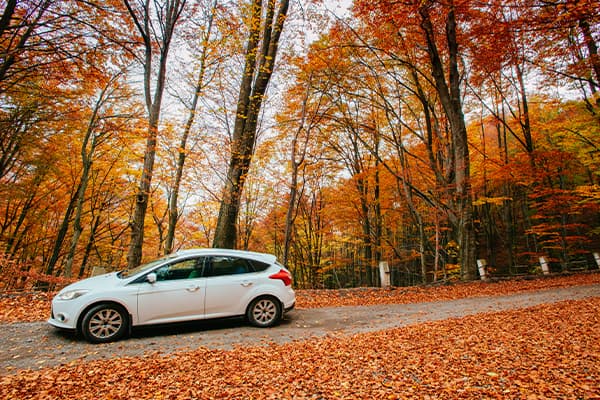 Le auto più interessanti in uscita questo autunno